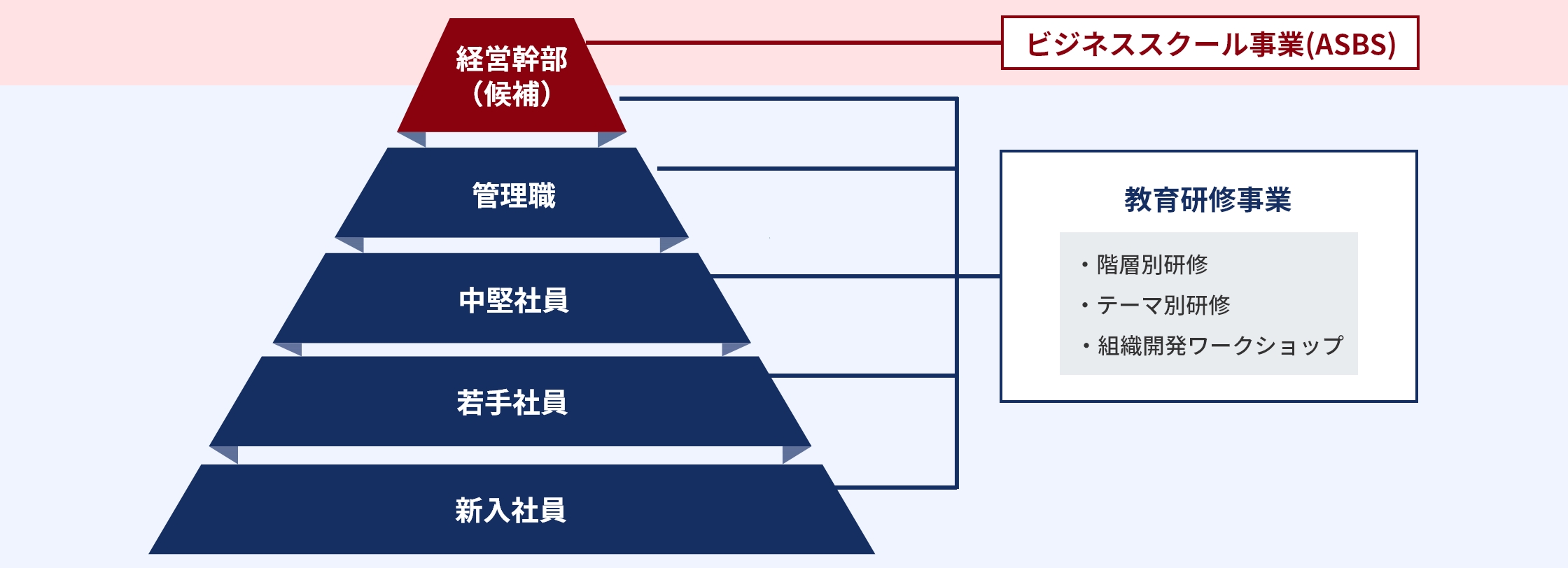 弊社サービスの領域 経営幹部向けサービスビジネススクール事業(ASBS) 管理職・中堅社員・若手社員・新入社向けサービス教育研修事業（階層別研修、テーマ別研修、組織開発ワークショップ）